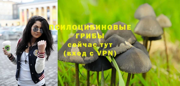 индика Инта