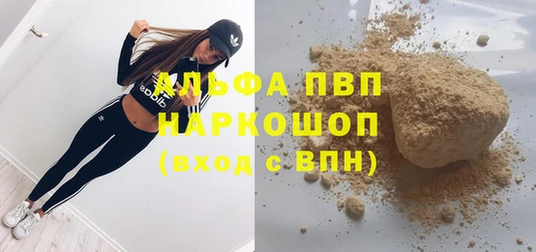 прущие грибы Иннополис