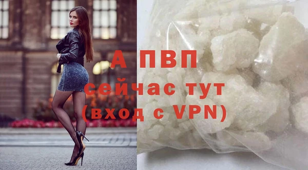 индика Инта