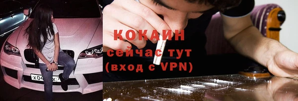 прущие грибы Иннополис