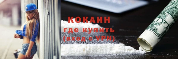 прущие грибы Иннополис