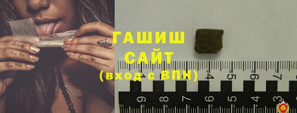 прущие грибы Иннополис