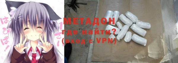 индика Инта