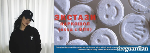 индика Инта