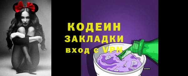 прущие грибы Иннополис