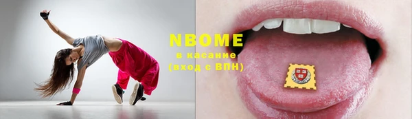 индика Инта