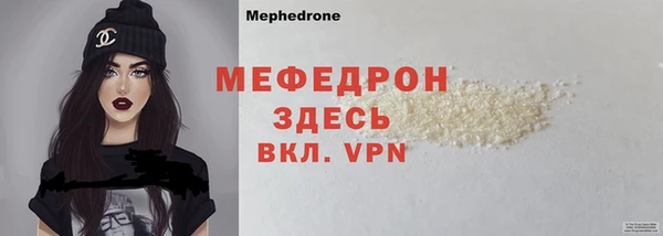 индика Инта