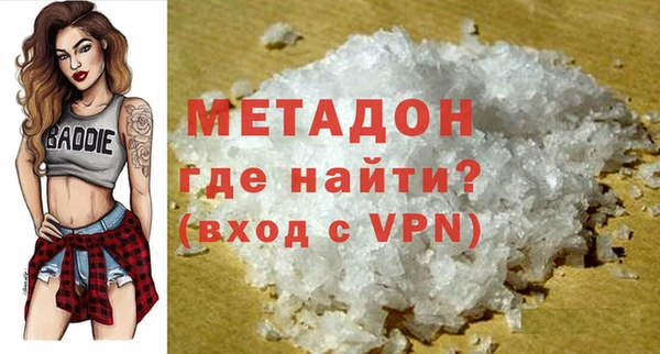индика Инта