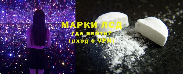 индика Инта