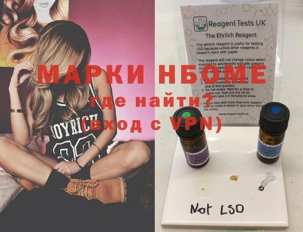 индика Инта