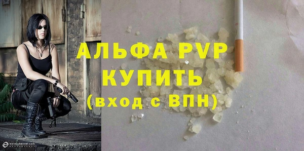 прущие грибы Иннополис