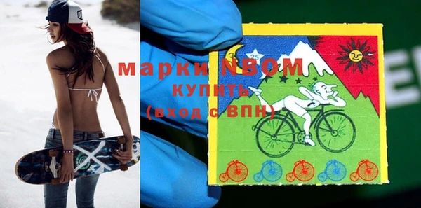 прущие грибы Иннополис