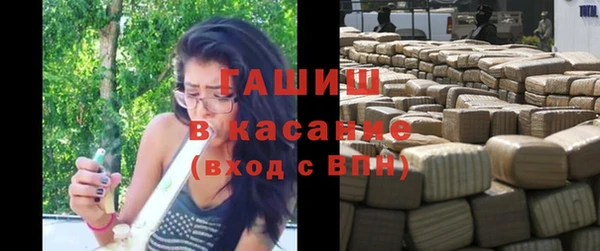 индика Инта