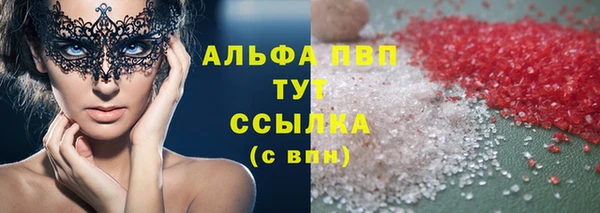 индика Инта